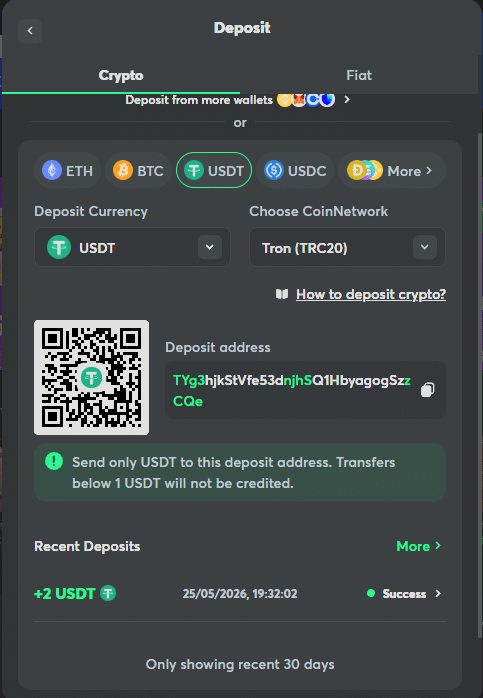 BC.Game Review crypto deposit page showing USDT wallet deposit address and supported cryptocurrencies