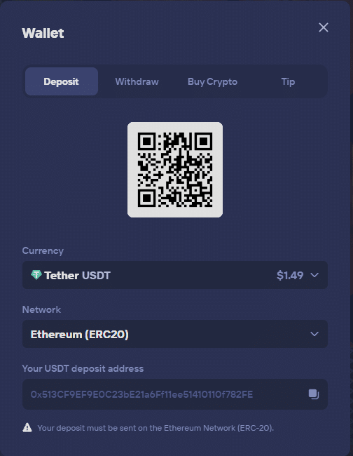Duel Review crypto deposit page showing USDT wallet address and ERC20 payment support