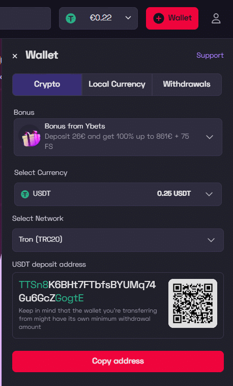 Ybets crypto deposit page showing USDT wallet address and cryptocurrency payment options