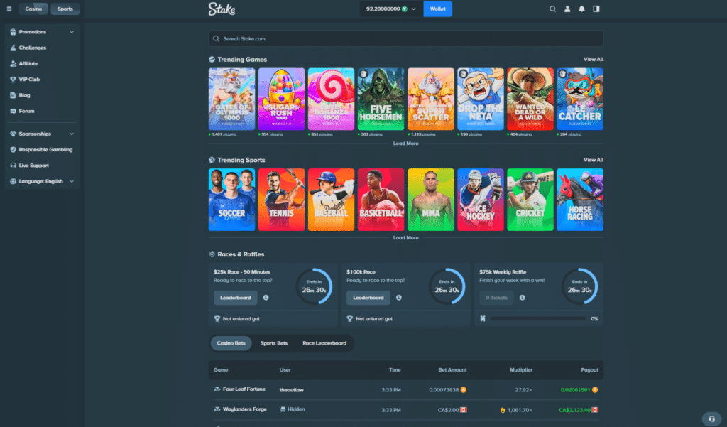 Stake casino review homepage with online casino games and sportsbook features